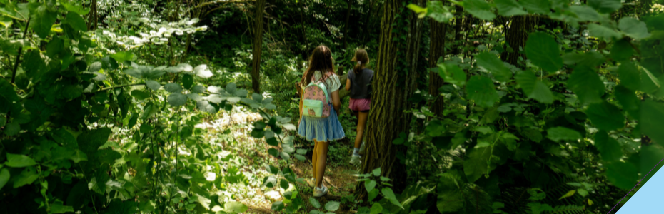 Mit Kindern die Natur entdecken