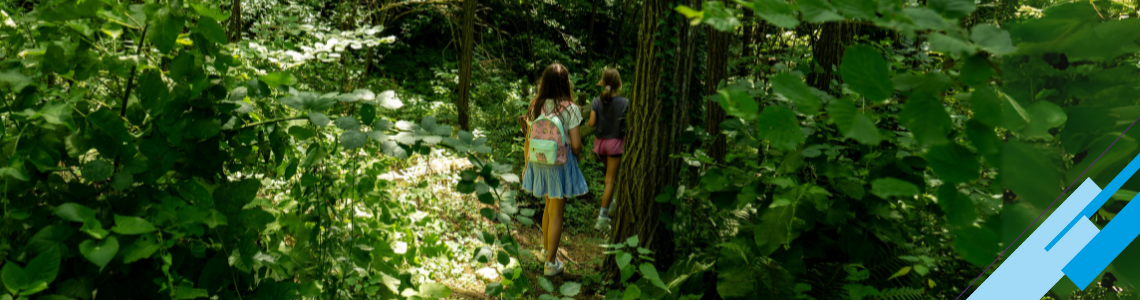 Warum Kinder die Natur brauchen – und die Natur die Kinder